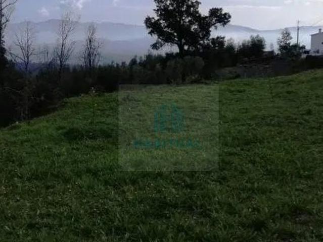 TERRENO EM NOGUEIRA/ VIANA DO CASTELO