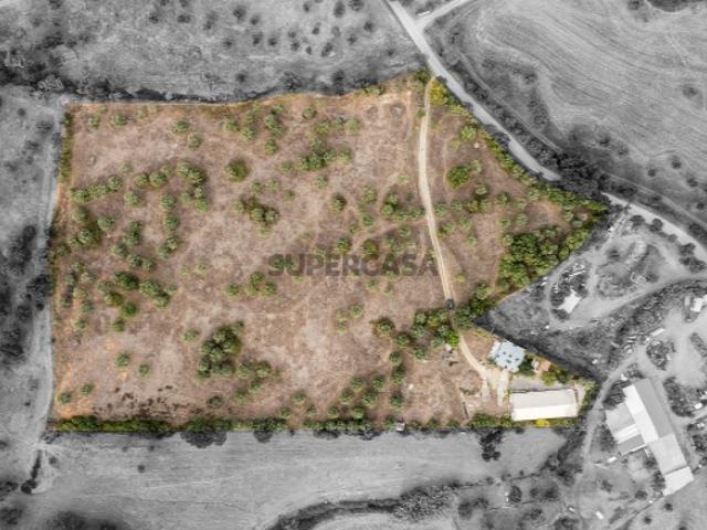Quintas e casas rústicas em Nossa Senhora da Vila