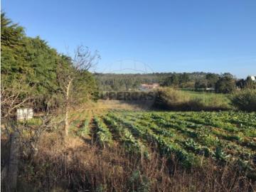 Terreno em Nossa Senhora do Pópulo, Coto e São Gregório