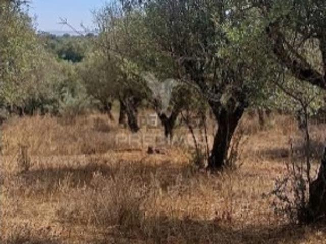 Terreno em Nossa Senhora da Conceição e São Bartolomeu
