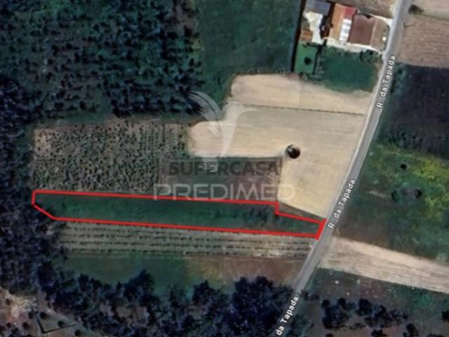 Terreno em Santa Catarina