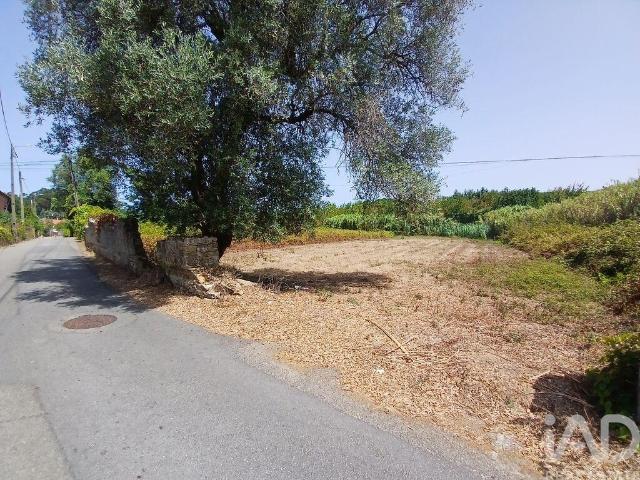 Terreno em Ouca