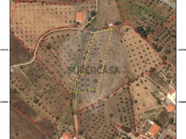 Terreno em Ourique