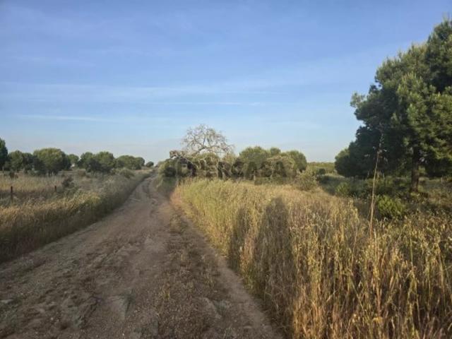Terreno em Ourique
