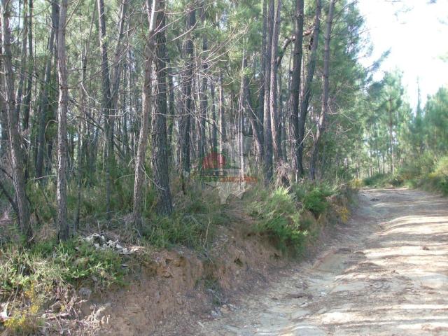 Terreno em Outeiro da Lagoa