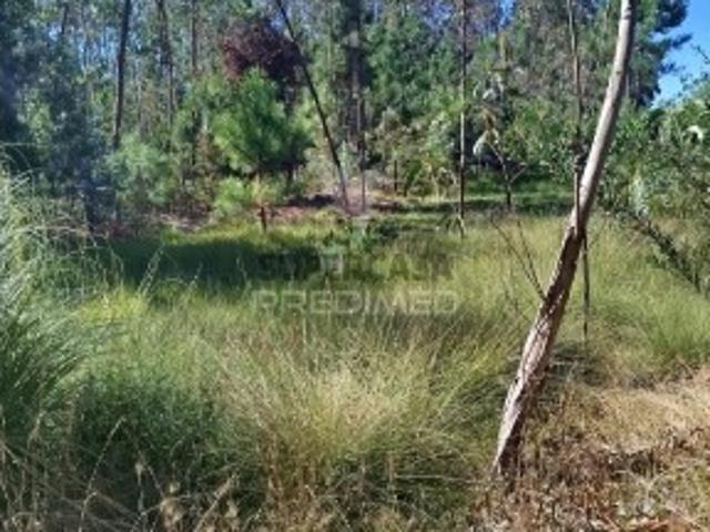 Terreno em Ovar