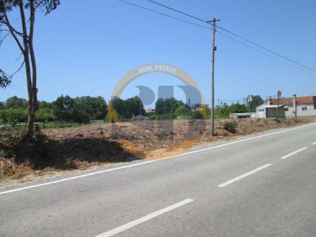 Terreno Centro Ovar