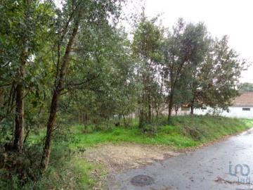 Terreno em Ovar, São João, Arada e São Vicente de Pereira Jusã de 7047,00 m²