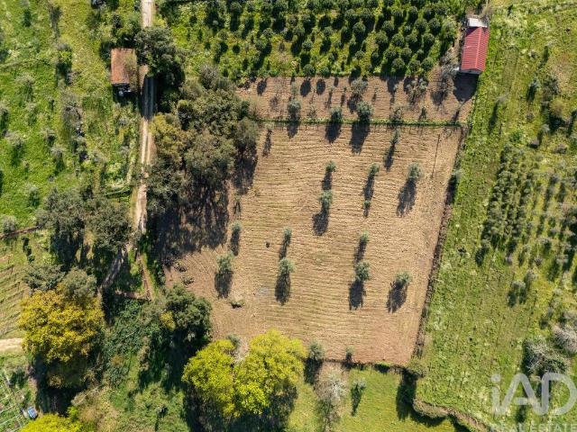 Terreno em Ovoa e Vimieiro
