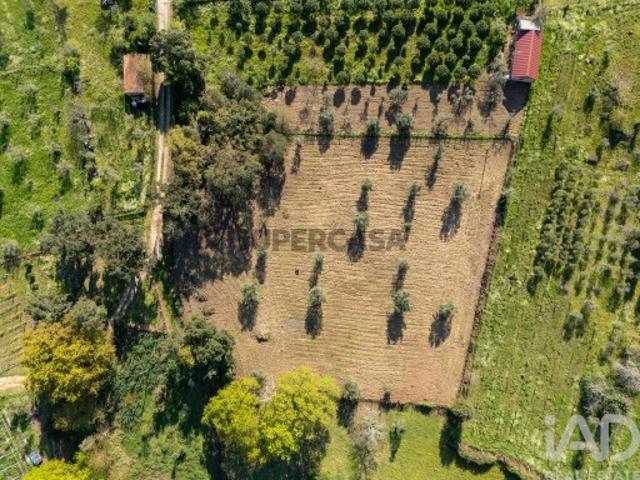 Terreno em Ovoa e Vimieiro