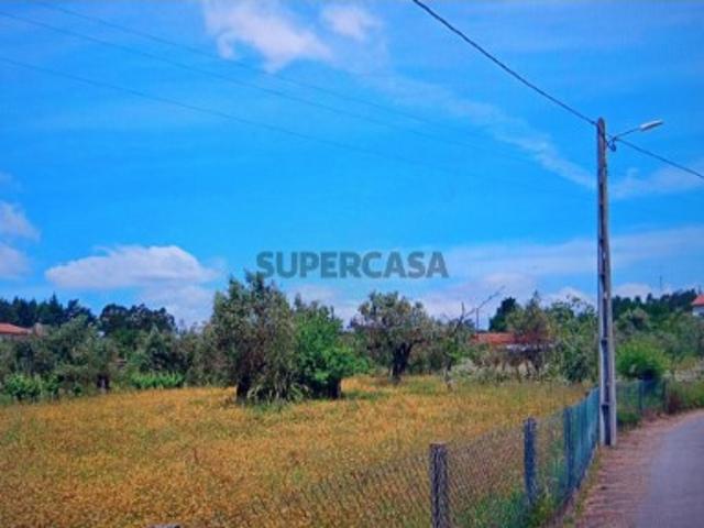 Terreno em Ovoa e Vimieiro