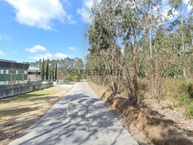 Terreno em O. Azeméis, Riba Ul, Ul, Macinhata Seixa, Madail
