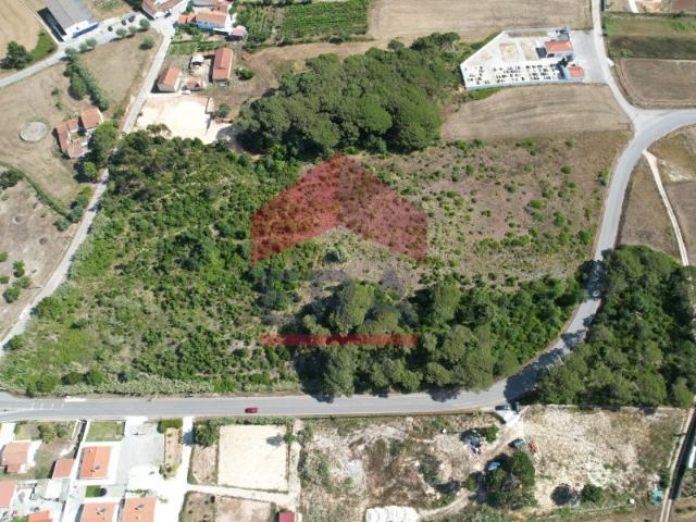 Terreno em Óbidos, Trás do Outeiro