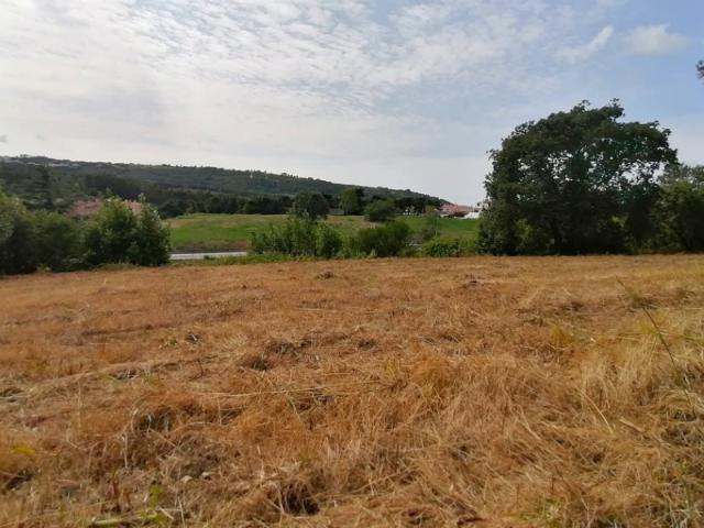 Terreno em Óbidos com grande potencial para plano urbanístico