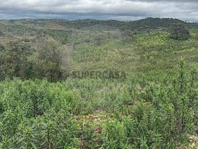 Terreno em Odeleite