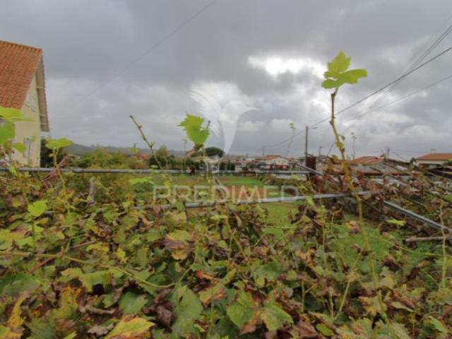 Terreno em Oiã
