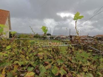 Terreno em Oiã