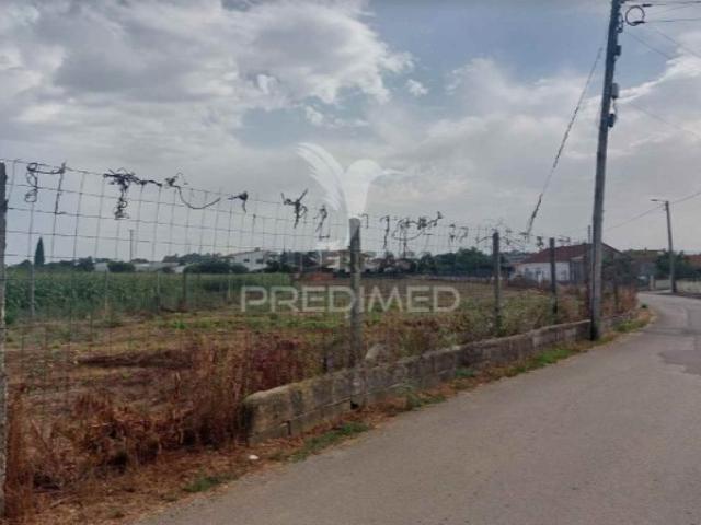Terreno em Oiã
