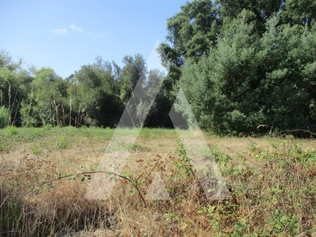 Terreno em Oiã