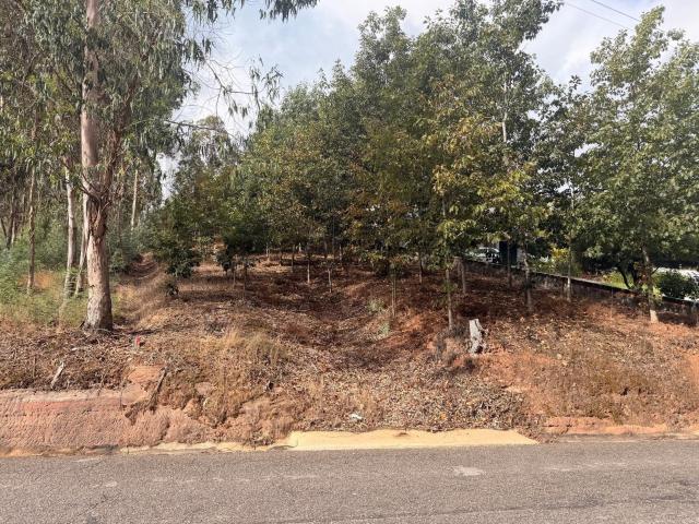 Terreno em Óis da Ribeira para construção de moradia