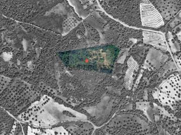 Terreno em Olaia e Paço