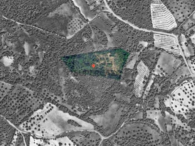 Terreno em Olaia e Paço