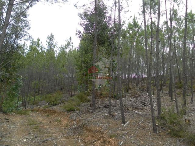 Terreno em oleiros