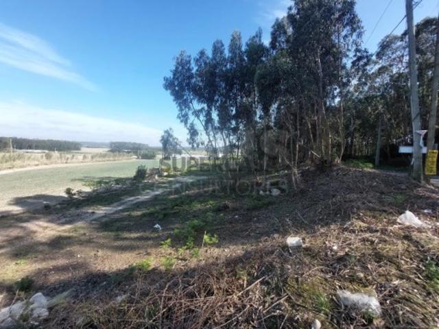Terreno em Olho Marinho