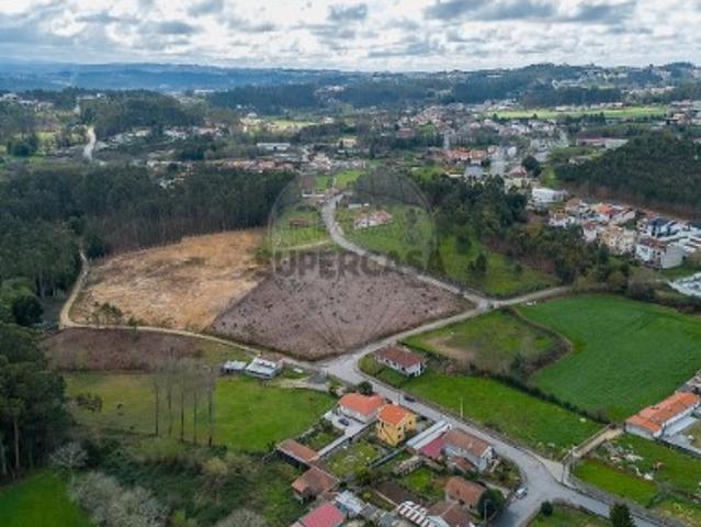 Terreno em Olival