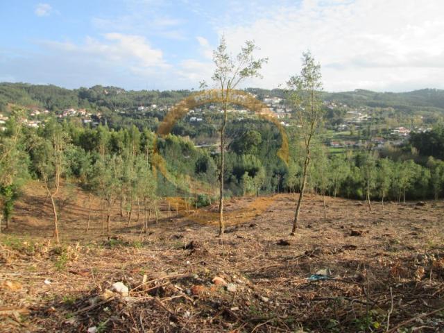 Terreno em Oliveira de Azeméis