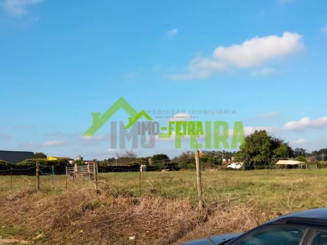 Terreno em Oliveira de Azeméis