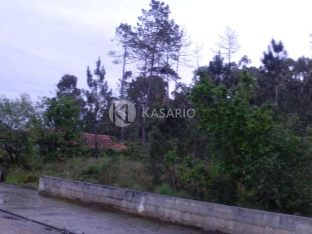 Terreno em Oliveira do Bairro