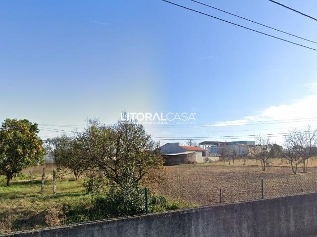 Terreno em Oliveira do Bairro