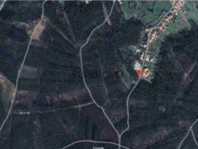 Terreno em Oliveira do Bairro