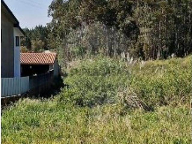 Terreno em Oliveira do Bairro