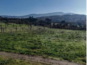 Terreno em Oliveira do Hospital e São Paio de Gramaços