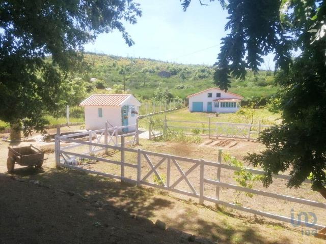 Terreno em Oliveira do Hospital e São Paio de Gramaços