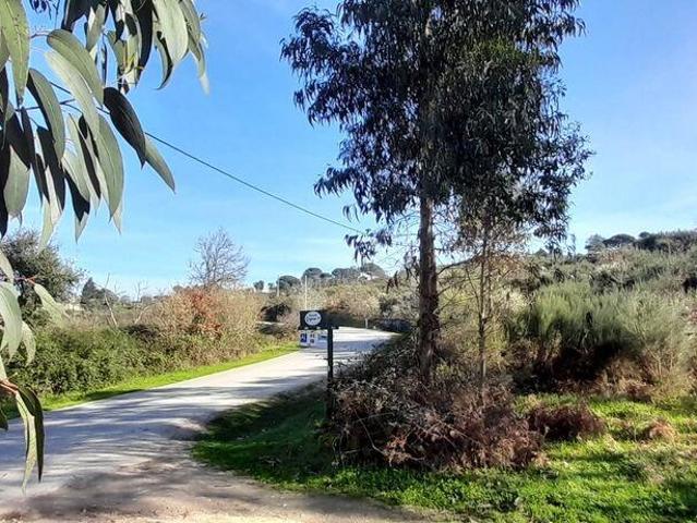 Terreno em Oliveira do Hospital e São Paio de Gramaços de 24500,00 m²