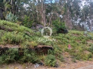 Não urbanizável em Oliveira São Mateus