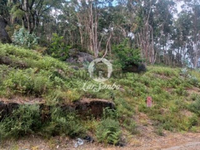 Não urbanizável em Oliveira São Mateus