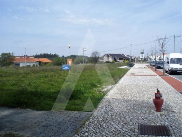 Terreno em Oliveirinha com viabilidade de construção!