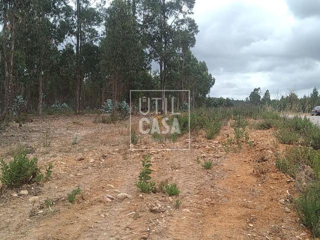 Terreno em Ortiga Mação
