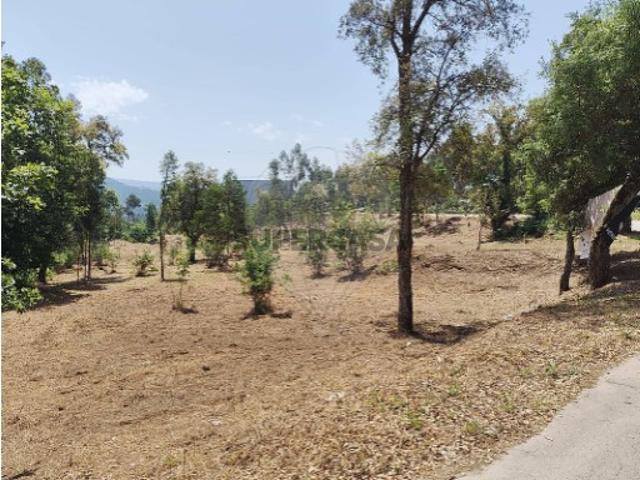 Terreno em Ossela