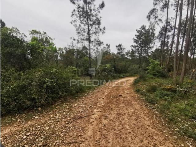 Terreno em Atalaia