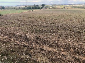 Terreno em Atouguia da Baleia