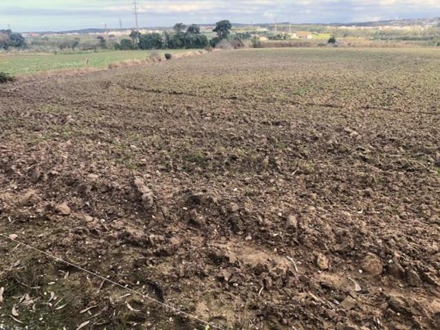 Terreno em Atouguia da Baleia