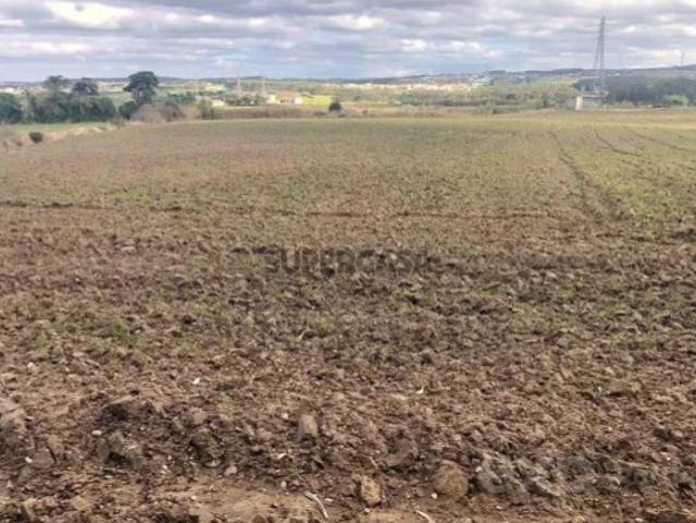 Terreno em Atouguia da Baleia