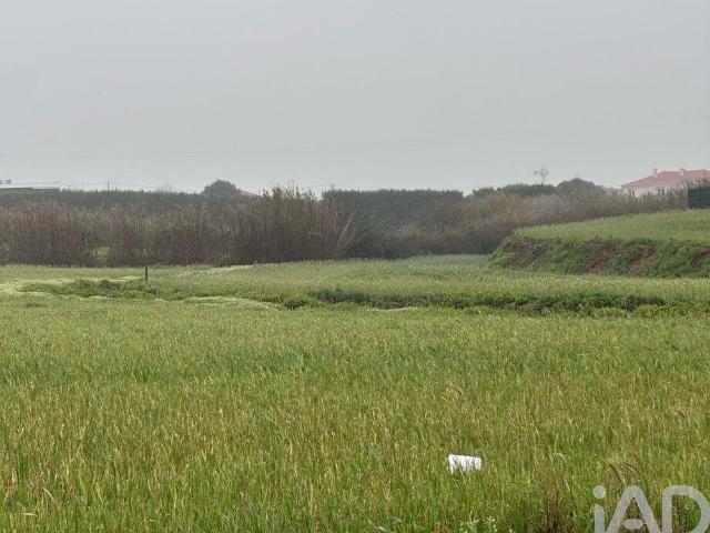 Terreno em Atouguia da Baleia