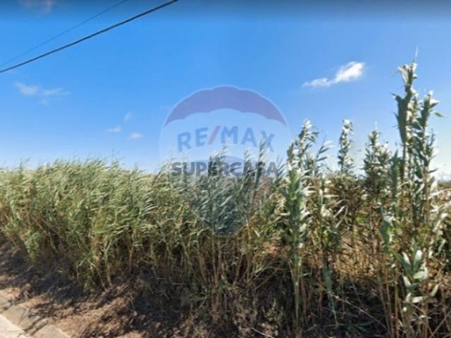 Terreno em Atouguia da Baleia