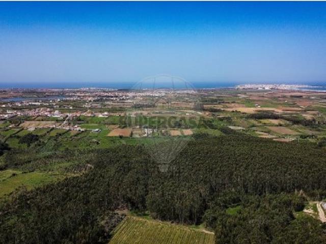 Terreno em Atouguia da Baleia